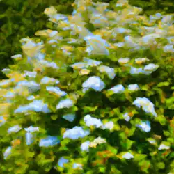 Une image de Jardiner avec la Spirée Blanche : tout ce que vous devez savoir - image générée par IA (DALL-E)