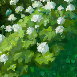 Une image de Conseils pour planter, cultiver et entretenir l'Alchemilla mollis - image générée par IA (DALL-E)