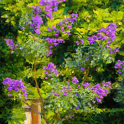 Une image de Découvrez la beauté du Lagerstroemia indica : un petit arbre aux fleurs pourpres - image générée par IA (DALL-E)