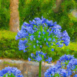Une image de L'Agapanthe: Une magnifique plante méditerranéenne avec des fleurs bleues à couper le souffle - image générée par IA (DALL-E)